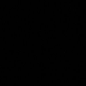 Meet your Posher, Everett